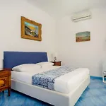 Araucaria