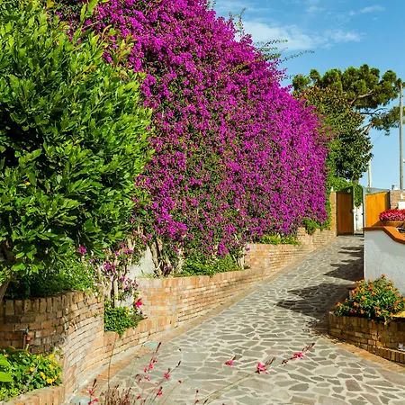 Araucaria Villa *