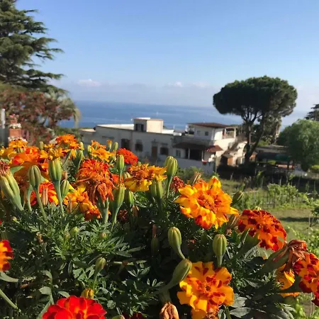 Araucaria Villa Casamicciola Terme