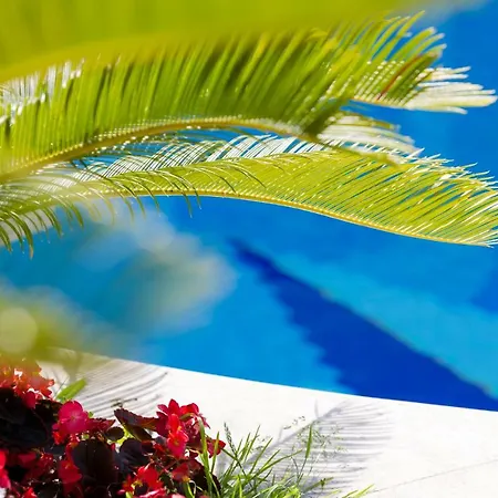 Araucaria Villa *