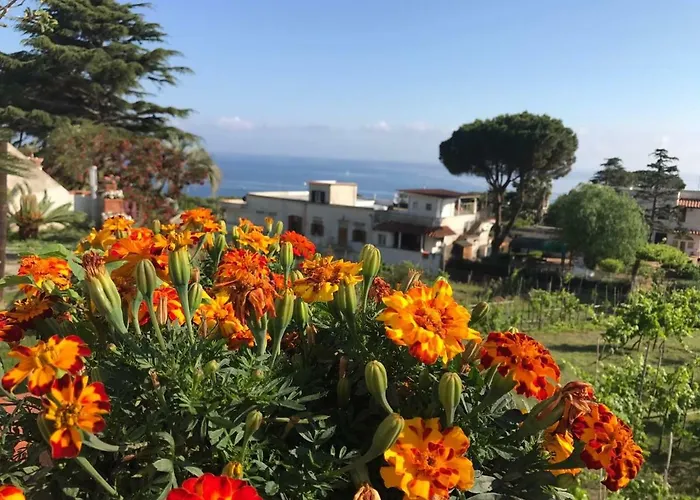Araucaria Villa Casamicciola Terme